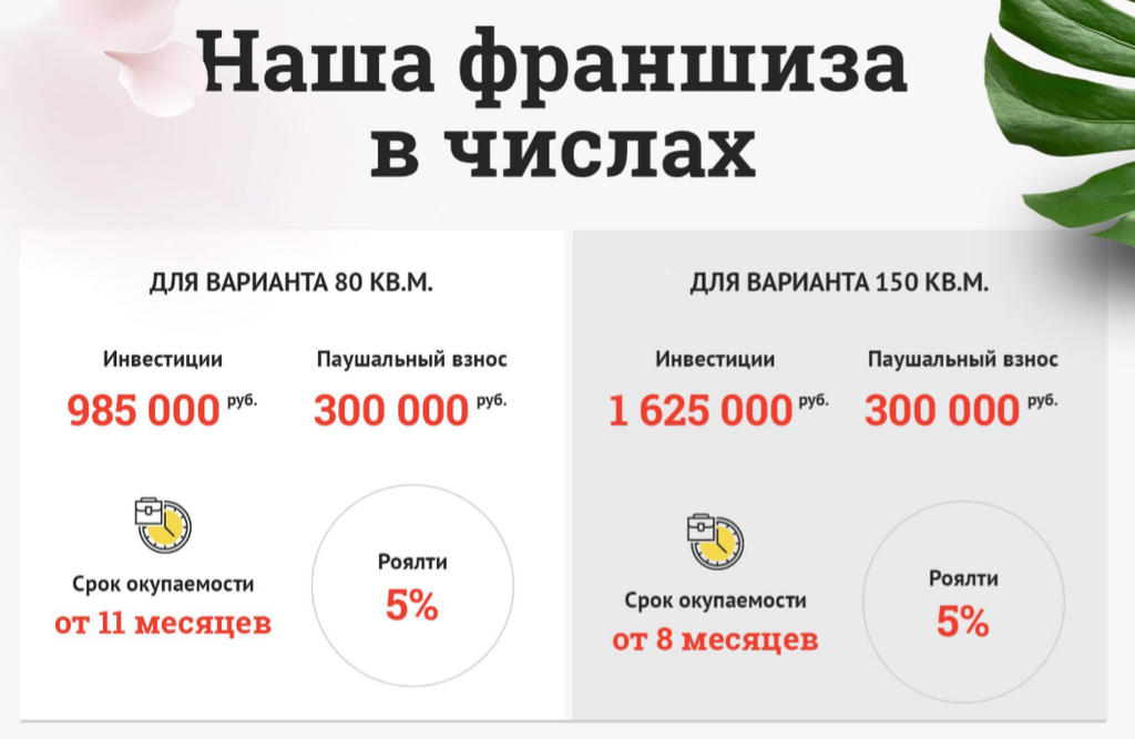 Франшиза Spa-комплекс Чаша: цены, отзывы и условия в России, сколько ...