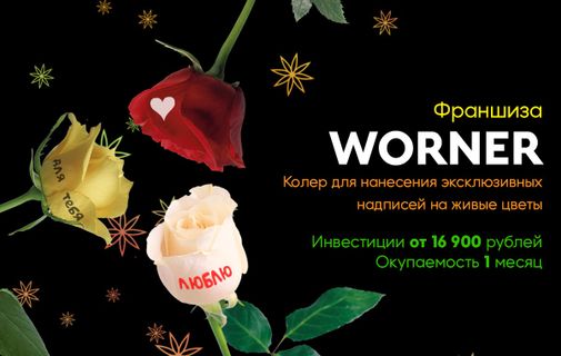 Франшизы бизнес идеи малые вложения