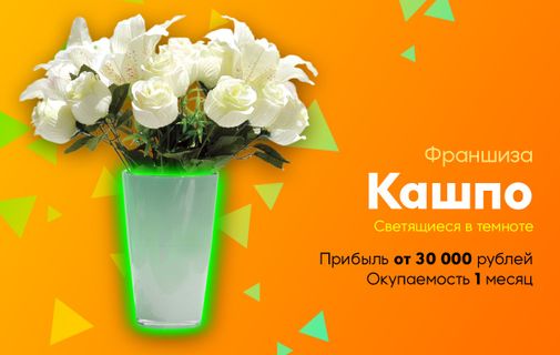 Франшизы бизнес идеи малые вложения