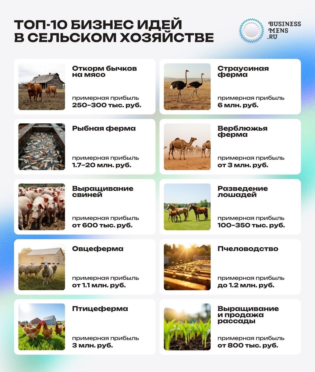 ТОП-10 бизнес-идей в сельском хозяйстве