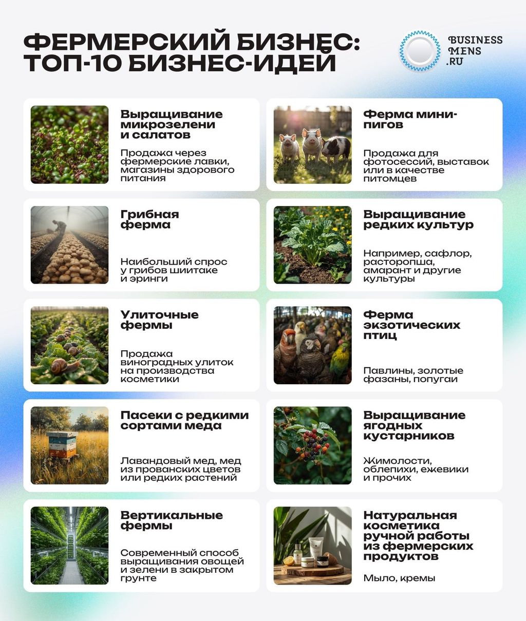 Фермерский бизнес: ТОП-10 бизнес-идей