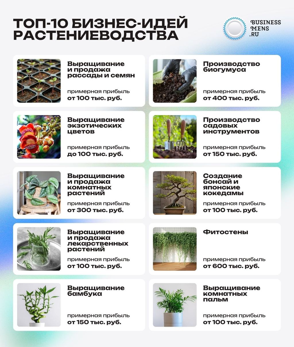 Топ-10 бизнес-идей растениеводства на дому