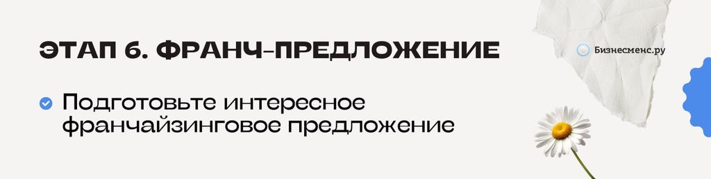 Этап 6. Франчайзинговое предложение