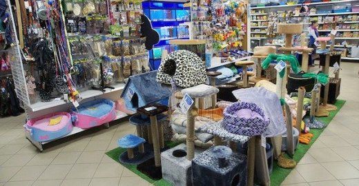 Франшиза Золотая рыбка - товары для животных