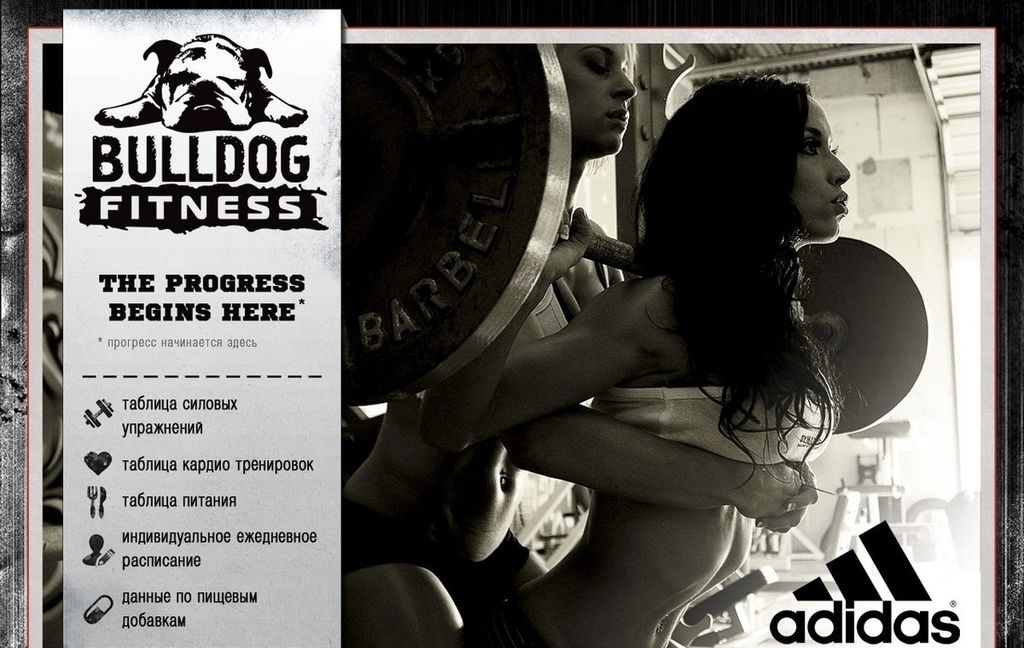 Франшиза BulldogFitness - спортивный ежедневник