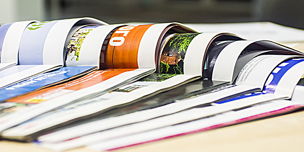 Франшиза Журнал Разворот