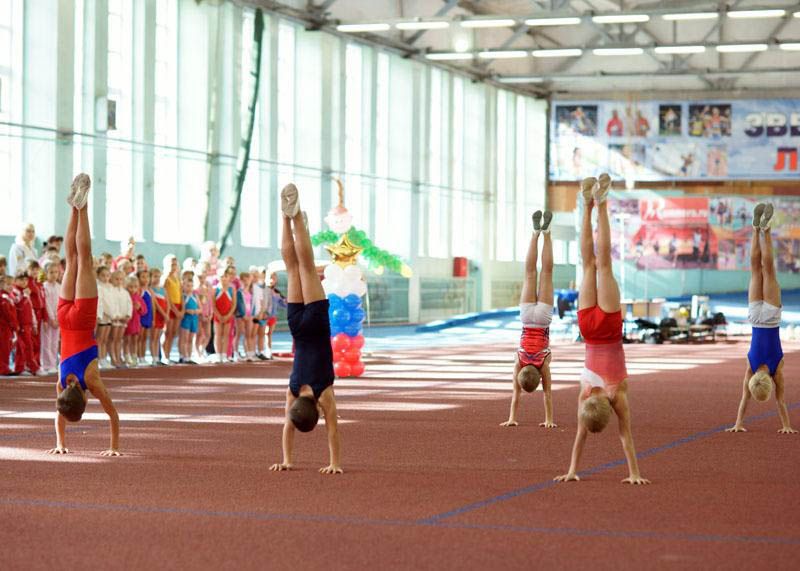 Франшизы спортивных школ: обзор рынка