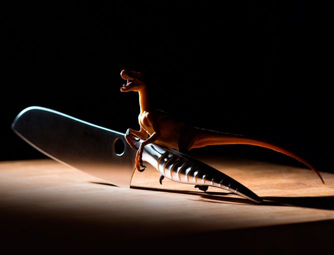 Франшизы магазинов посуды и японских ножей, обзорная статья