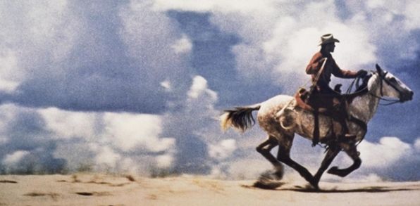 Сколько зарабатывают начинающие и профессиональные фотографы? Самые дорогие фотографии в мире. Как стать фотографом?