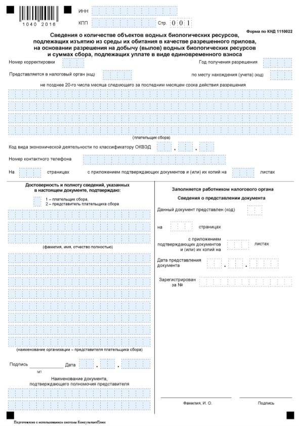 Отчётность ИП в 2019 году. Что, когда и где сдавать?