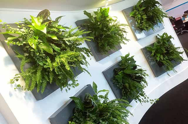 Топ-7 интересных франшиз из Европы, которых нет в России