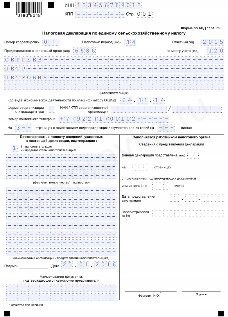 Отчётность ИП в 2019 году. Что, когда и где сдавать?