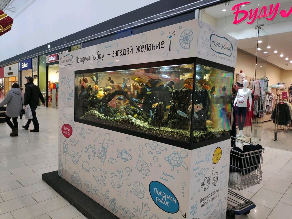 Как стать №1 на рынке за счет франчайзинга 