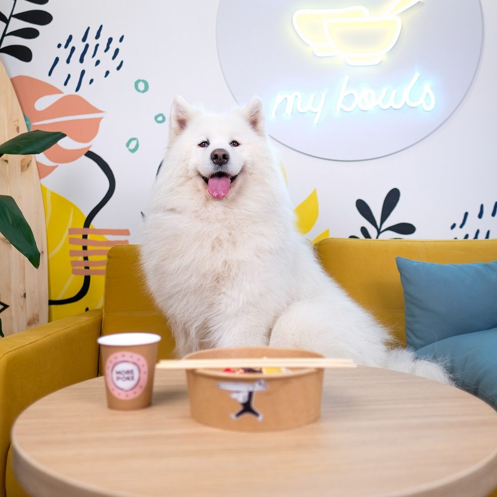 Франшиза More Poke - ресторан гавайской кухни