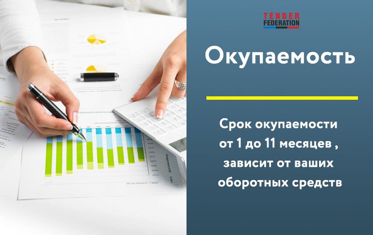 Франшиза Tender Federation - госзакупки