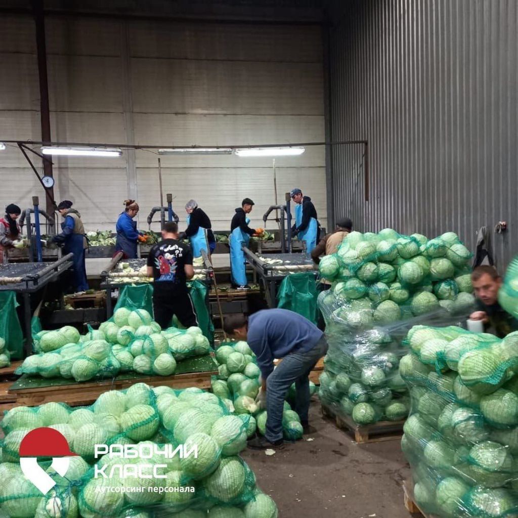 Франшиза Рабочий класс - предоставление рабочего персонала