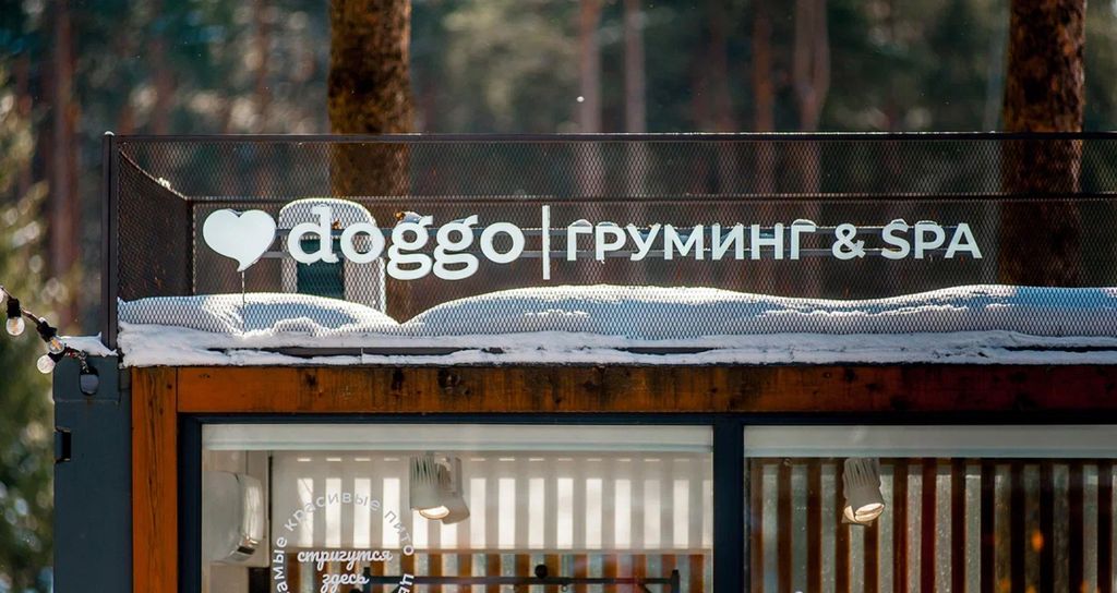 DOGGO BY VS BRANDS | Олег Рябоха генеральный директор DOGGO