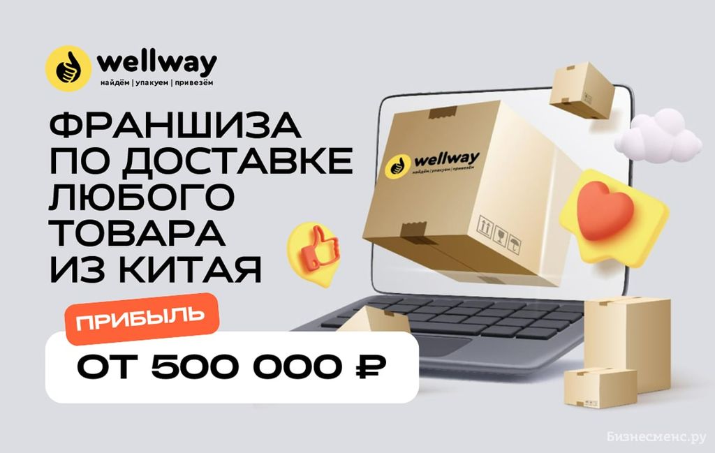 Франшиза Wellway - что скрывают, реальные отзывы, актуальные цены
