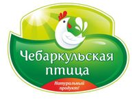 Логотип Чебаркульская птица