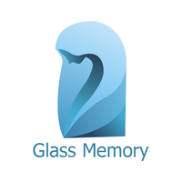 Логотип фрашизы Glass memory