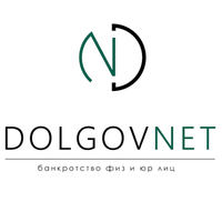 Логотип фрашизы DolgovNet