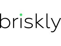 Логотип Briskly