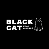 Логотип фрашизы BLACK CAT 