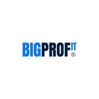 Логотип фрашизы BIG PROFIT