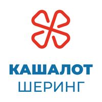Логотип фрашизы Кашалот Шеринг