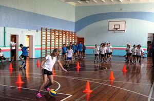 Франшизы спортивных школ: обзор рынка