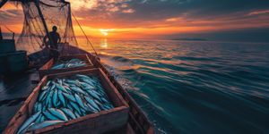 Идея бизнеса: как открыть бизнес по разведению рыбы