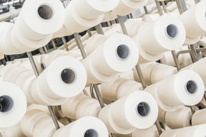 Идея бизнеса: как открыть производство туалетной бумаги