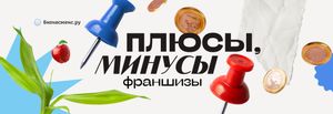 Плюсы и минусы франшизы
