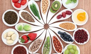 Обзор рынка вегетарианского питания 2025 года: лучшие франшизы вегетарианского питания в каталоге Businessmens.ru