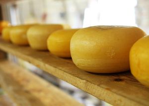 Обзор рынка сыроварен 2025 года: лучшие франшизы сыроварен в каталоге Businessmens.ru