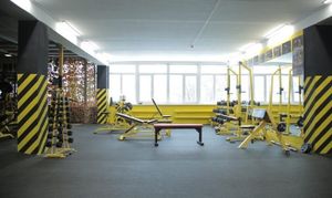 Обзор рынка спортивных франшиз 2025 года: лучшие спортивные франшизы в каталоге Businessmens.ru