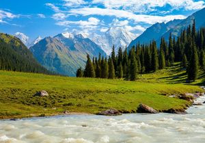 50 франшиз для открытия бизнеса в Киргизии