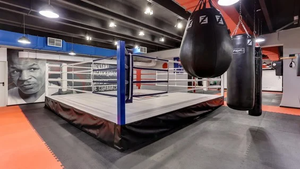 Франшизы бокса. Обзор рынка