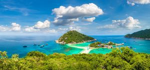 10 необычных бизнес-идей из Индонезии