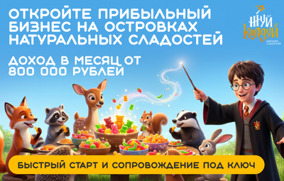 Открой сладкую лавку с уникальной концепцией и выручкой от 800 000 ₽ в месяц.