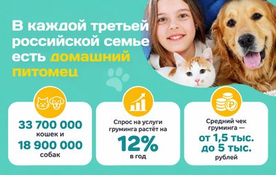 Услуги для питомцев за год выросли больше, чем в 2 раза (на 119%)! Открой свой груминг-салон, где 7 из 10 клиентов становятся постоянными. Опыт не нужен.