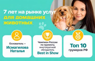 Услуги для питомцев за год выросли больше, чем в 2 раза (на 119%)! Открой свой груминг-салон, где 7 из 10 клиентов становятся постоянными. Опыт не нужен.