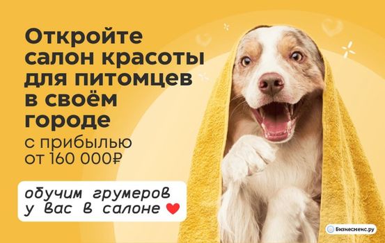 Услуги для питомцев за год выросли больше, чем в 2 раза (на 119%)! Открой свой груминг-салон, где 7 из 10 клиентов становятся постоянными. Опыт не нужен.