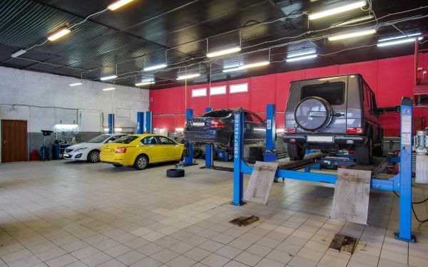 Вилгуд и Колеса Даром объявили о сотрудничестве - Новости франчайзинга