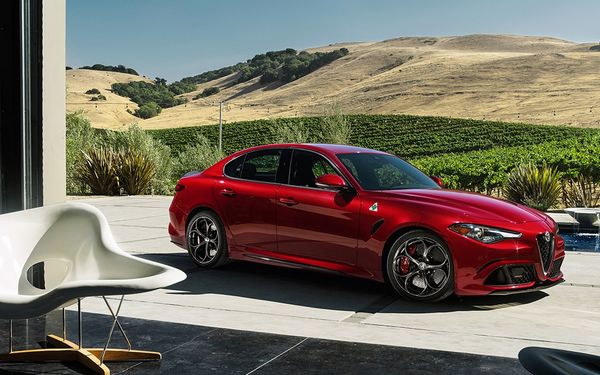 Бизнес план: покраска жидкой резиной авто