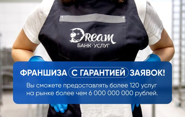 Франшиза Дрим - клининг и химчистка: цены, отзывы и условия в России ...