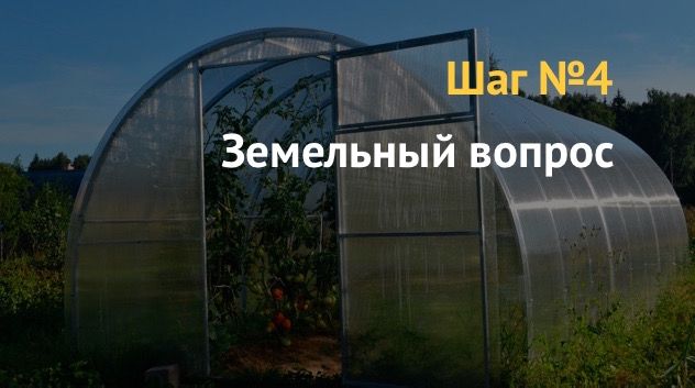 Бизнес план: выращивание овощей в теплицах