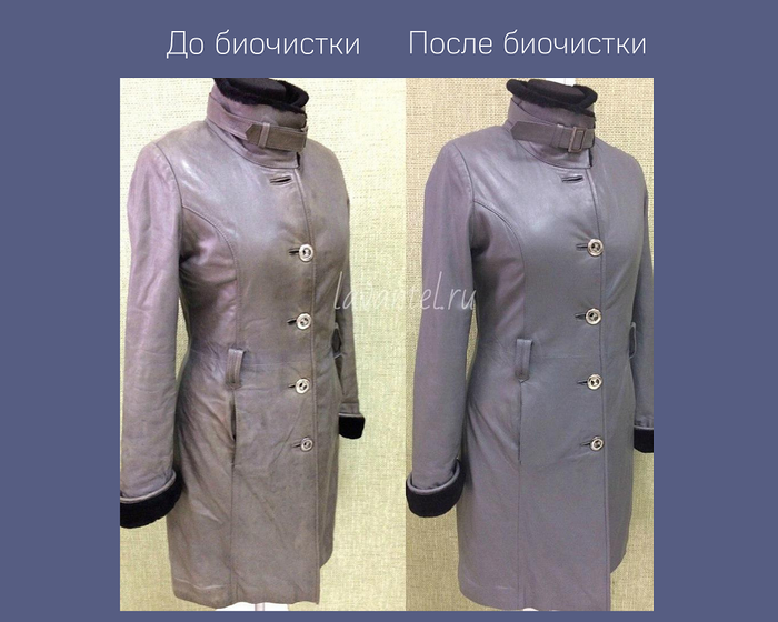 Франшиза LAVANTEL - биочистка одежды: цены, отзывы и условия в России ...