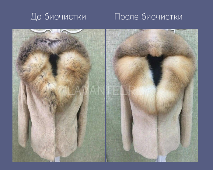 Франшиза LAVANTEL - биочистка одежды: цены, отзывы и условия в России ...