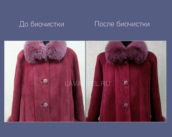 Франшиза LAVANTEL - биочистка одежды: цены, отзывы и условия в России ...